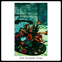 014 Trumpet Vines