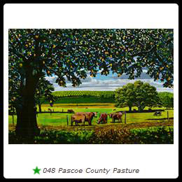 048 Pascoe County Pasture