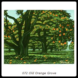 072 Old Orange Grove