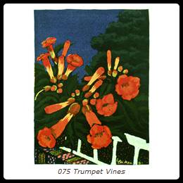 075 Trumpet Vines