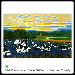 080 Dawn over Lake Gilbert - Pascoe County