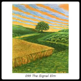099 The Signal Elm