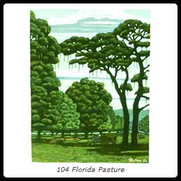 104 Florida Pasture