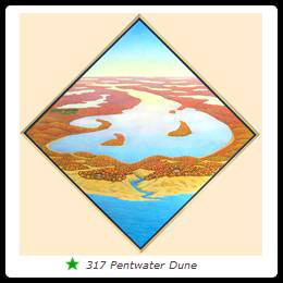 317 Pentwater Dune