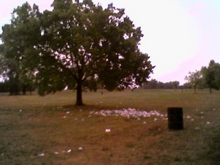 early-august litter on east end of belle isle2