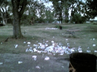 early-august litter on east end of belle isle3