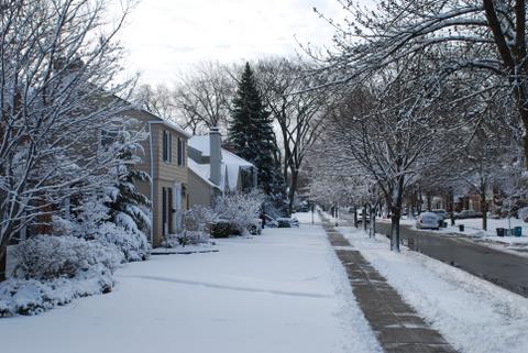Snowy Neighborhood