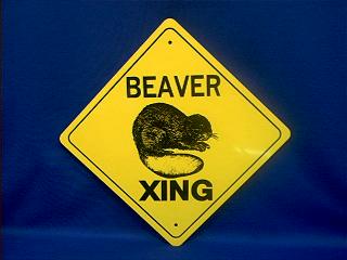 Beaver Crossing