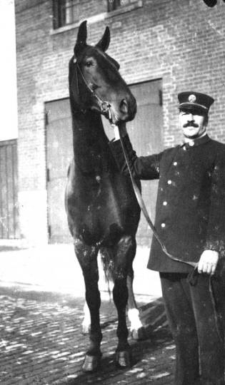 DFD Supt. of Horses, c. 1917