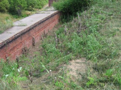 Area of overgrowth removal near interior Fort wall