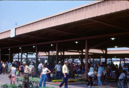 Flower Day at Eastern Market, May 22, 1977