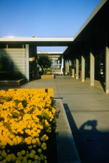 courtyard, Oct 1957