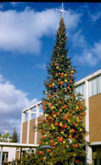northland_christmas_tree_20dec1955